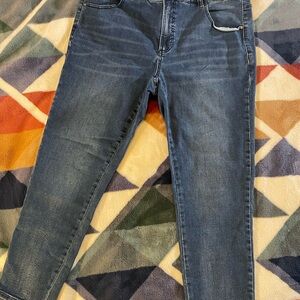 Universal Standard Dark Blue Ankle Jeans